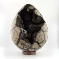 Dračie vajce do 1 kg - septárie Madagaskar 